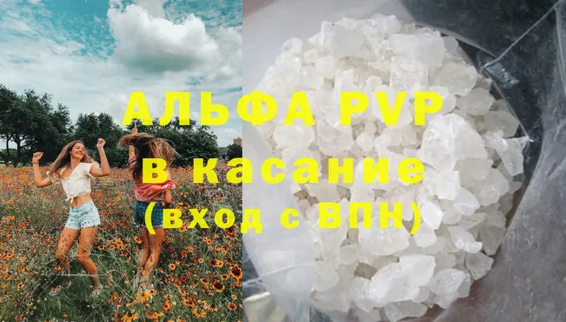 A-PVP СК  Кызыл 