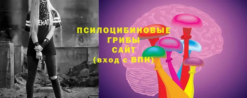 Галлюциногенные грибы мицелий  Кызыл 